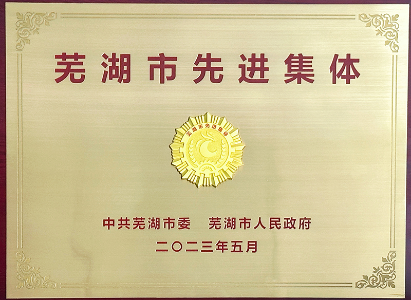 芜湖市先进集体